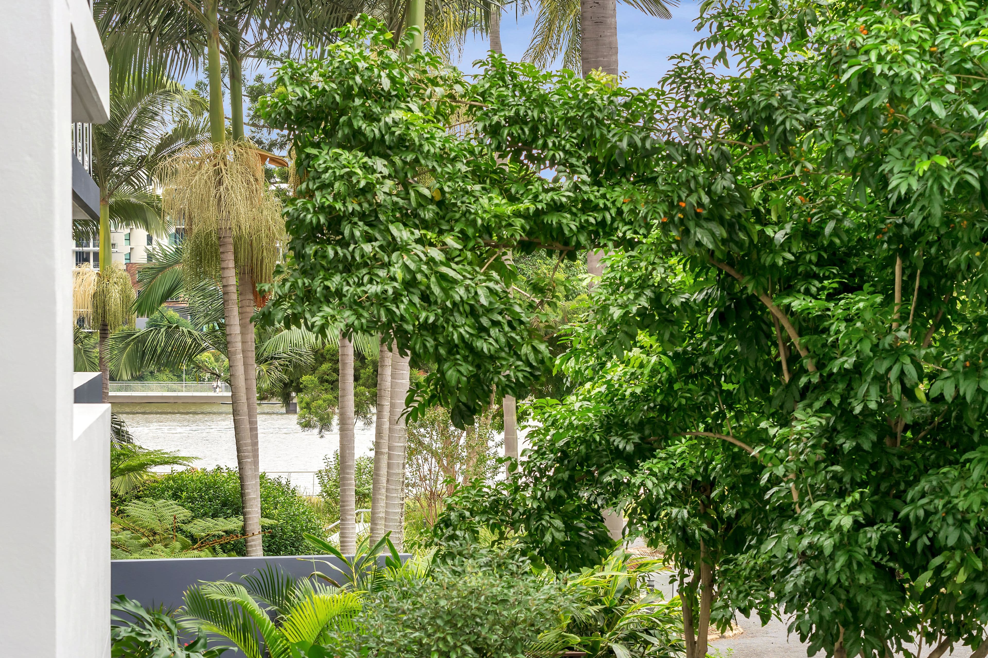 25 Anderson Street, Kangaroo Point QLD 4169, Kangaroo Point - Thumbnail 2