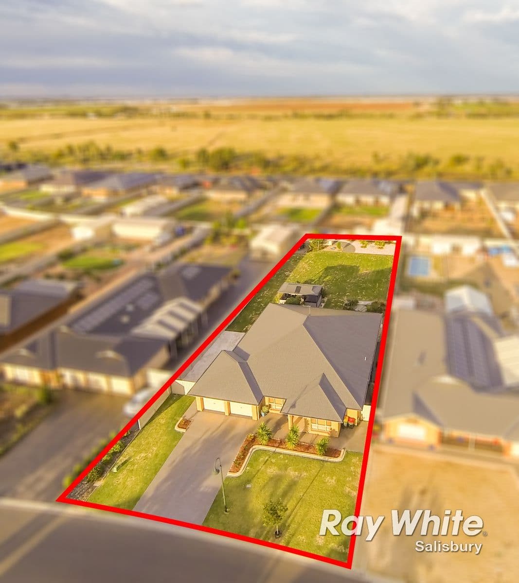 11 Pendolino Road, VIRGINIA SA 5120, Virginia - Thumbnail 2