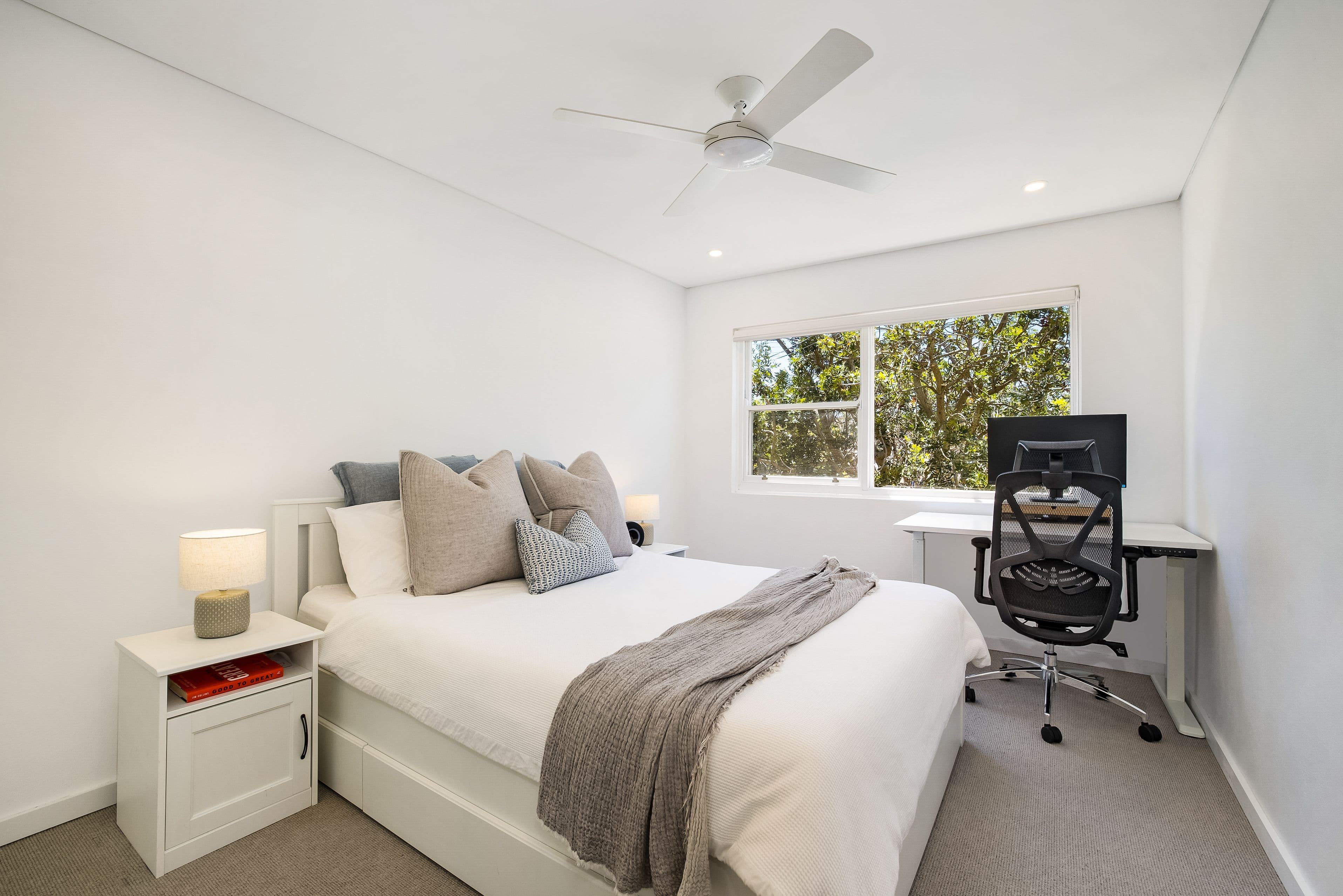 26 Howard Street, Randwick NSW 2031, Randwick - Thumbnail 4