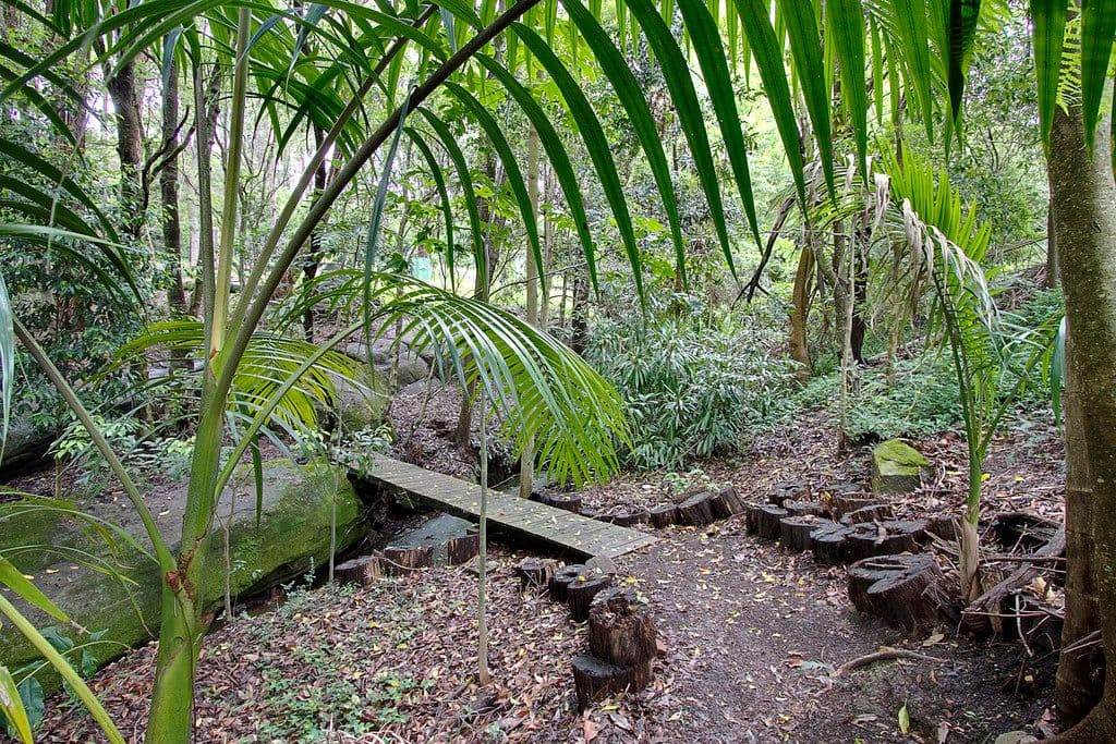 11 Don Street, KURRAJONG HEIGHTS NSW 2758, Kurrajong Heights - Thumbnail 4