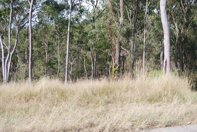 111 Fortitude Street, MOUNT CROSBY QLD 4306, Mount Crosby - Thumbnail 3