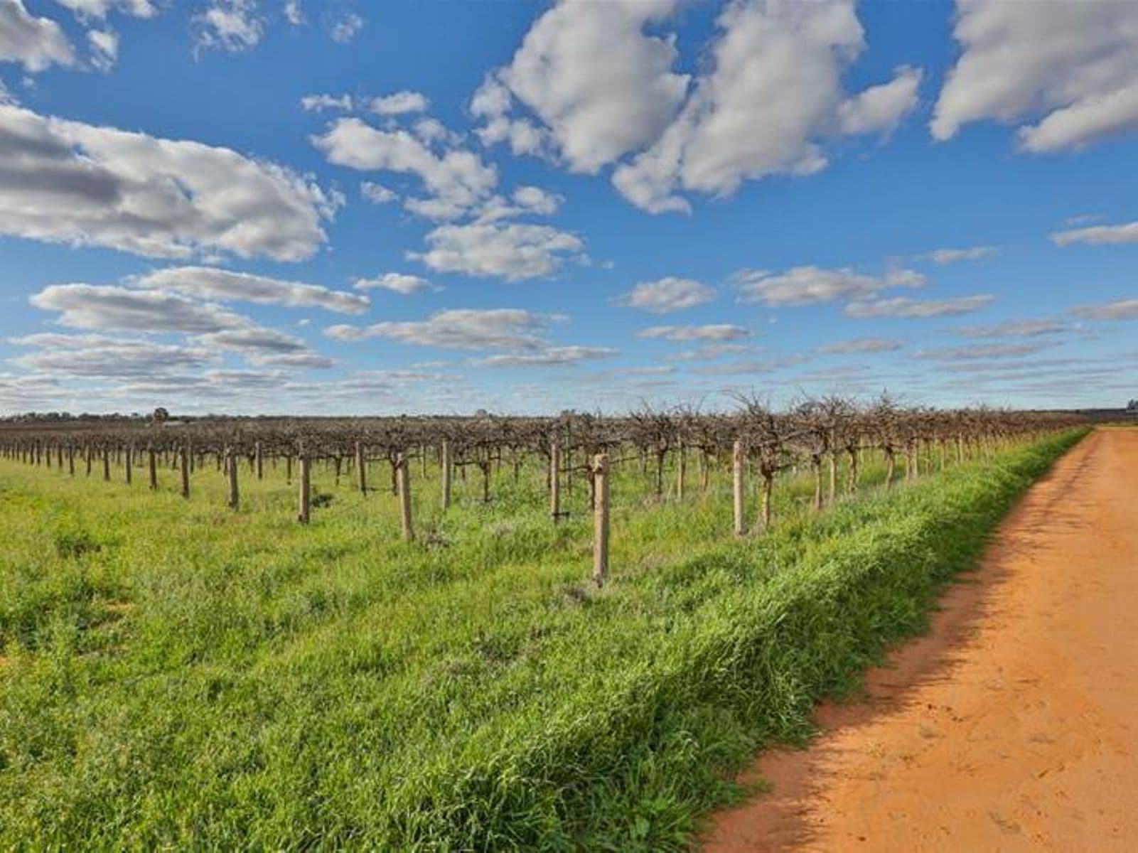 35 Trawalla Road, Coomealla - Thumbnail 2