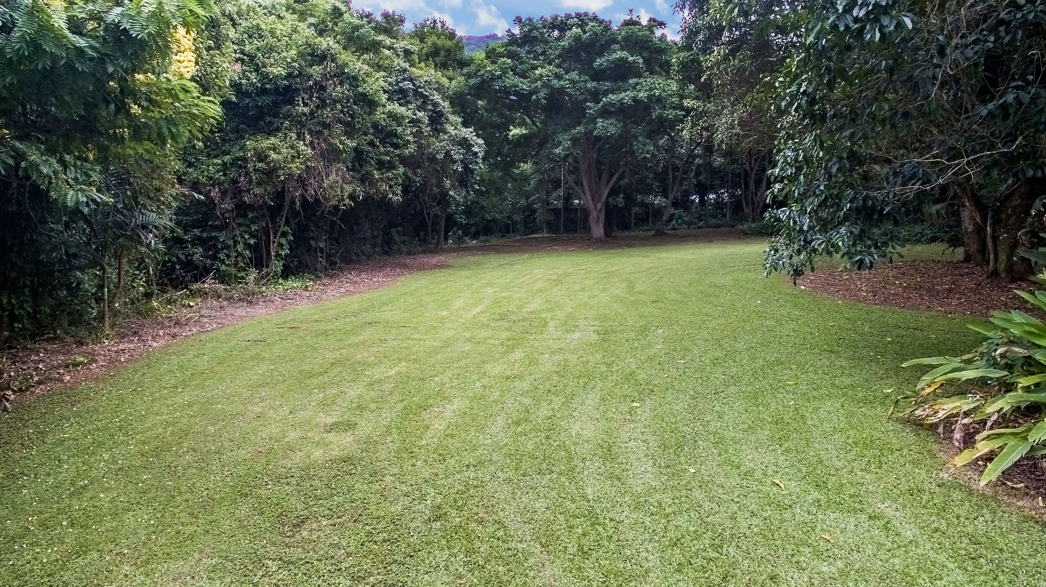 91 Stanton Road, Smithfield QLD 4878, Smithfield - Thumbnail 5
