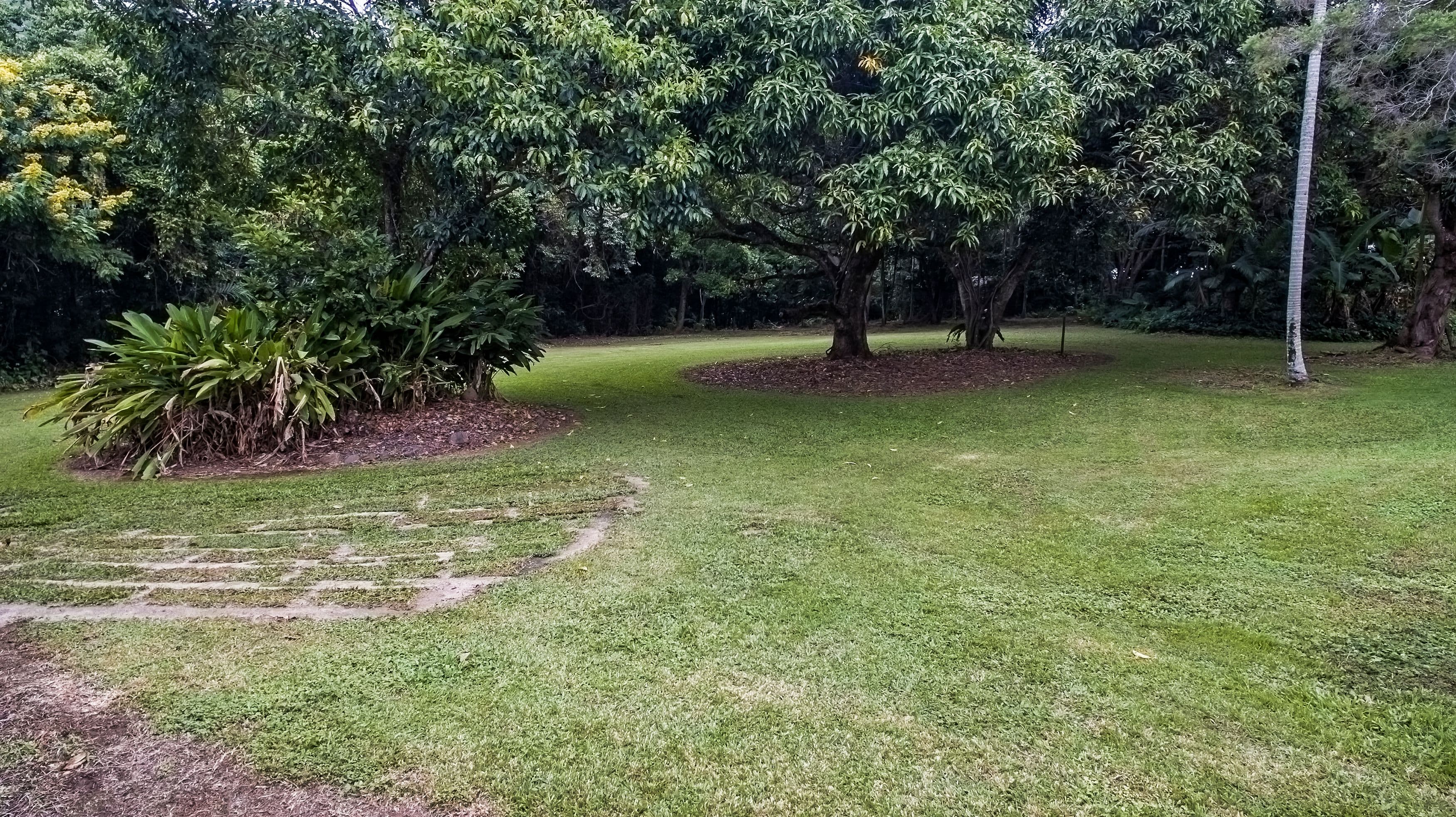 91 Stanton Road, Smithfield QLD 4878, Smithfield - Thumbnail 6