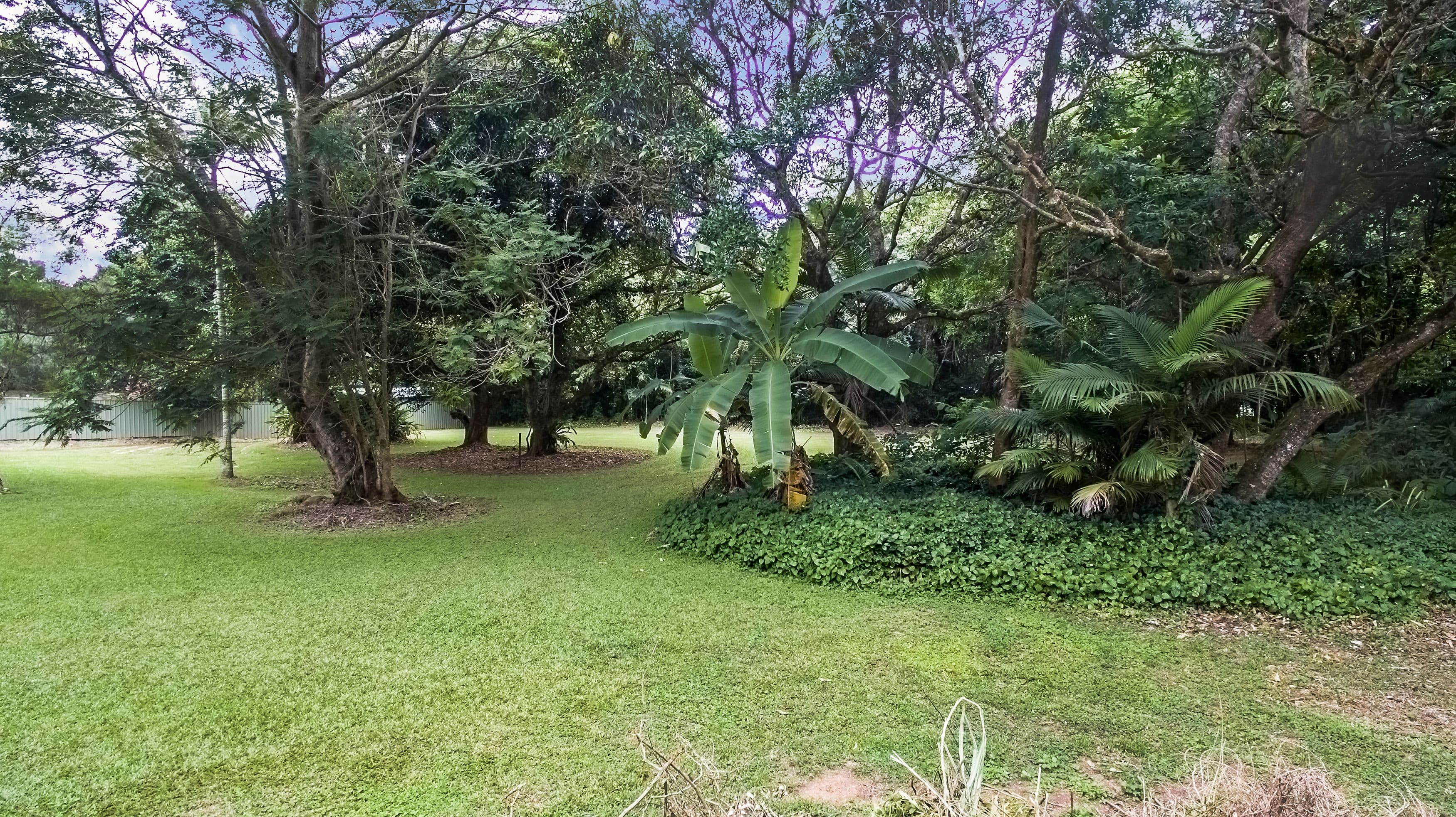 91 Stanton Road, Smithfield QLD 4878, Smithfield - Thumbnail 7
