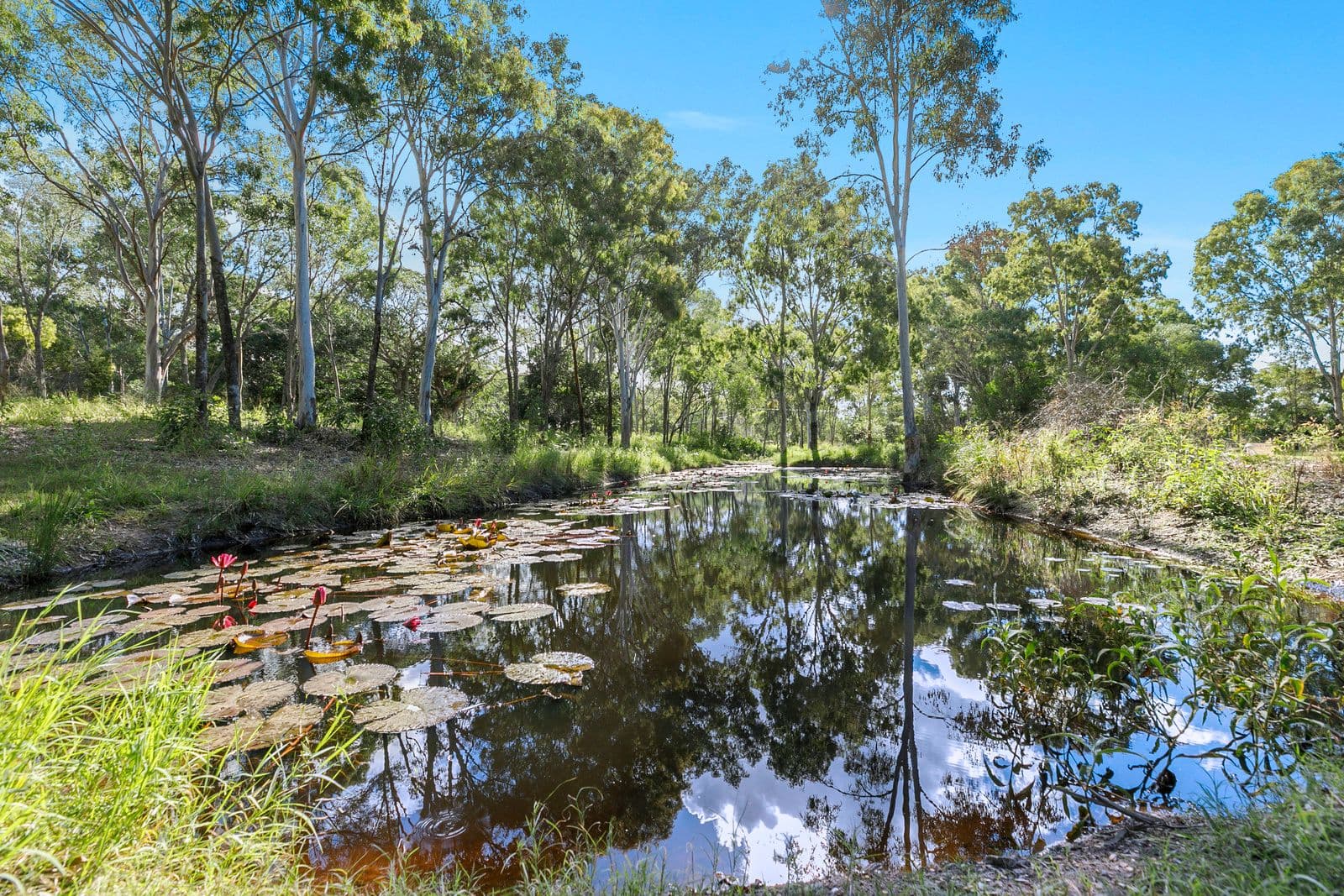 80 Ti Tree Road East, Booral QLD 4655, Booral - Thumbnail 3