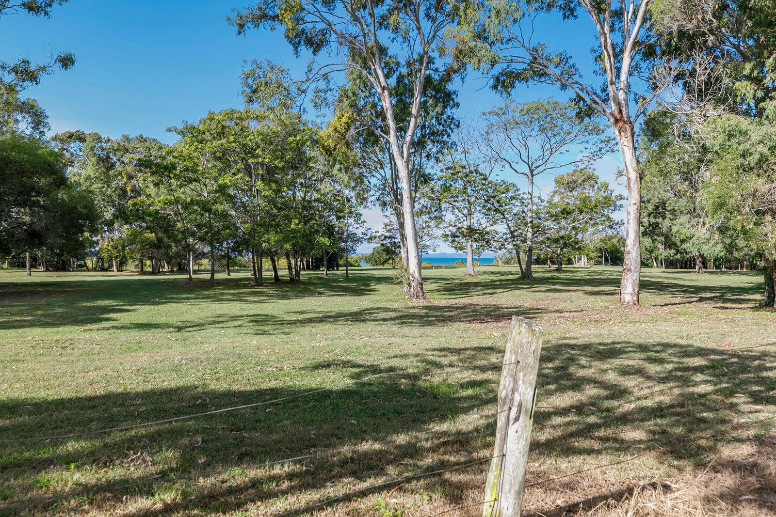 80 Ti Tree Road East, Booral QLD 4655, Booral - Thumbnail 5