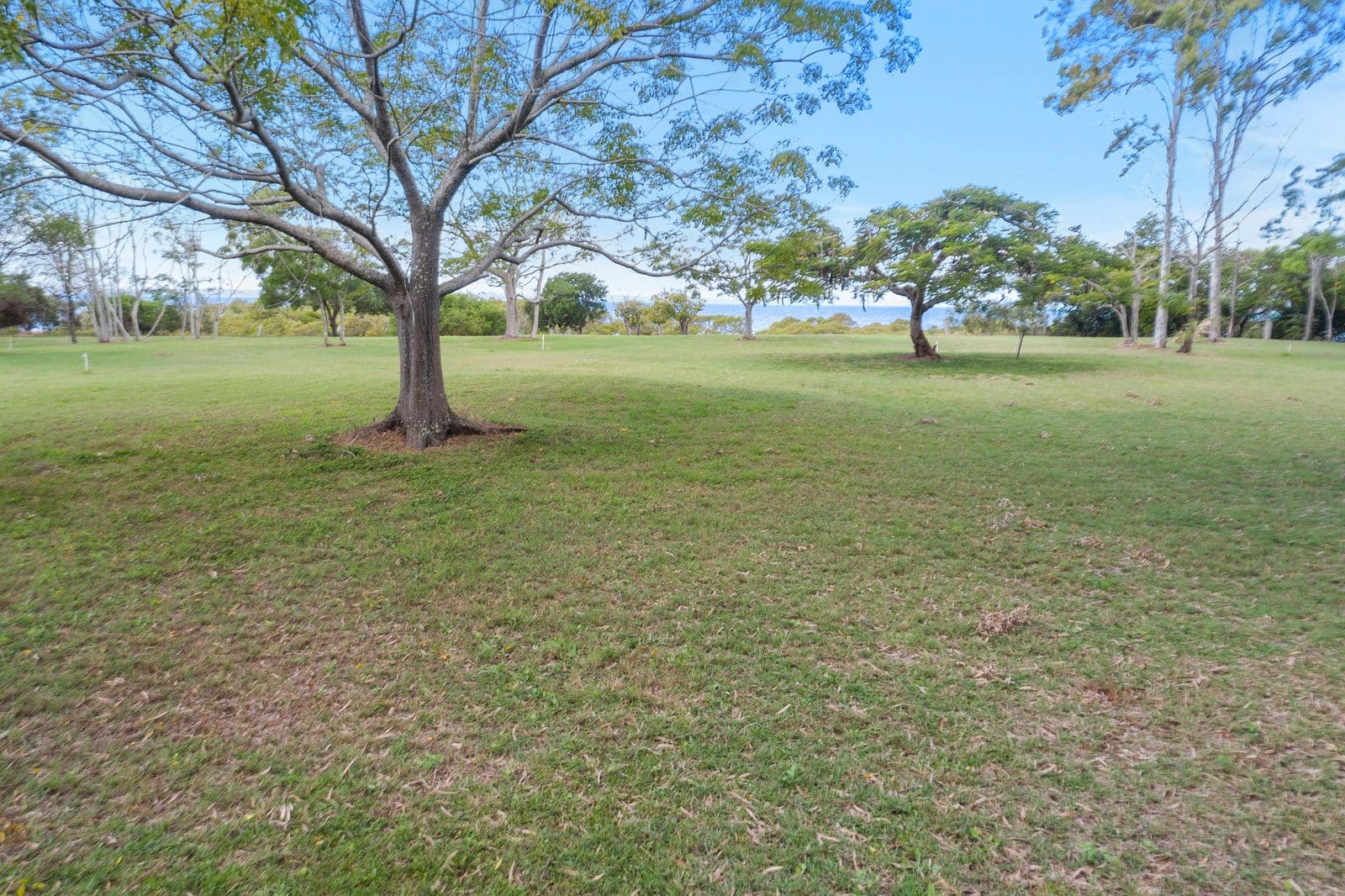 80 Ti Tree Road East, Booral QLD 4655, Booral - Thumbnail 6