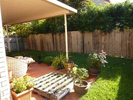 45 Washington Avenue, TINGALPA QLD 4173, Tingalpa - Thumbnail 3