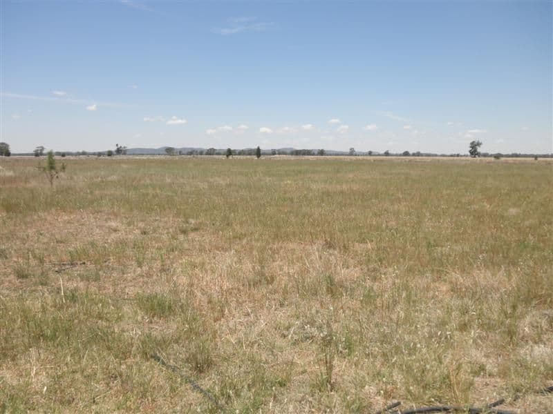 170 Villeneuve Drive, NARROMINE NSW 2821, Narromine - Image 1