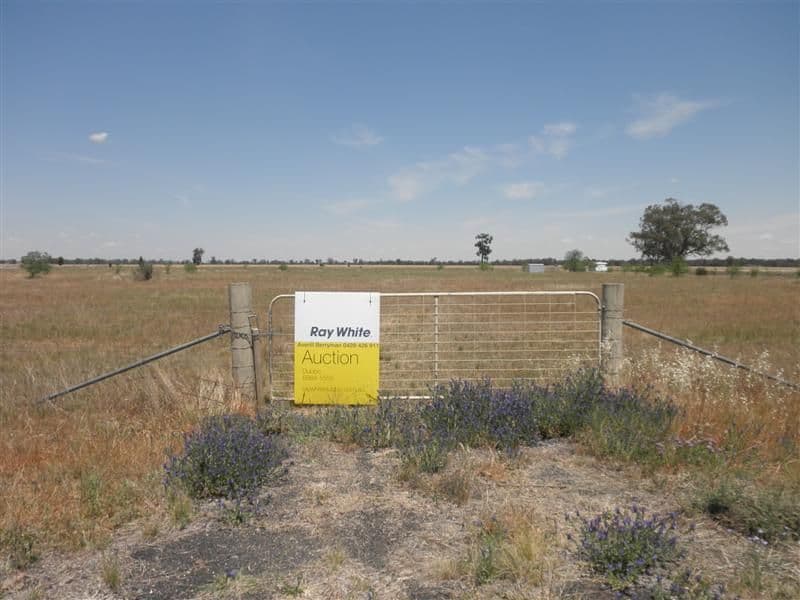 170 Villeneuve Drive, NARROMINE NSW 2821, Narromine - Thumbnail 3
