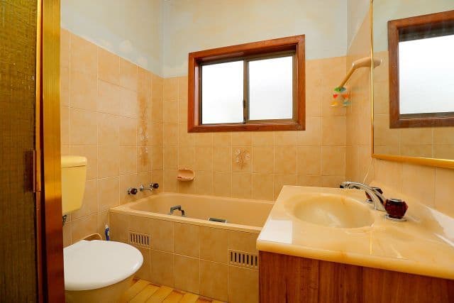 9 Meakin Crescent, Chester Hill NSW 2162, Chester Hill - Thumbnail 6
