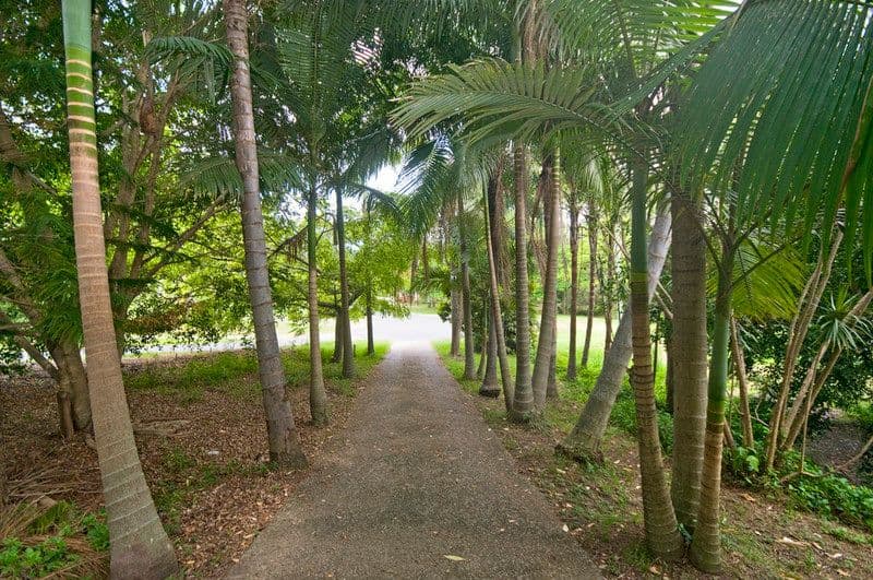 25 Cockatiel Place, CURRUMBIN WATERS QLD 4223, Currumbin Waters - Thumbnail 5