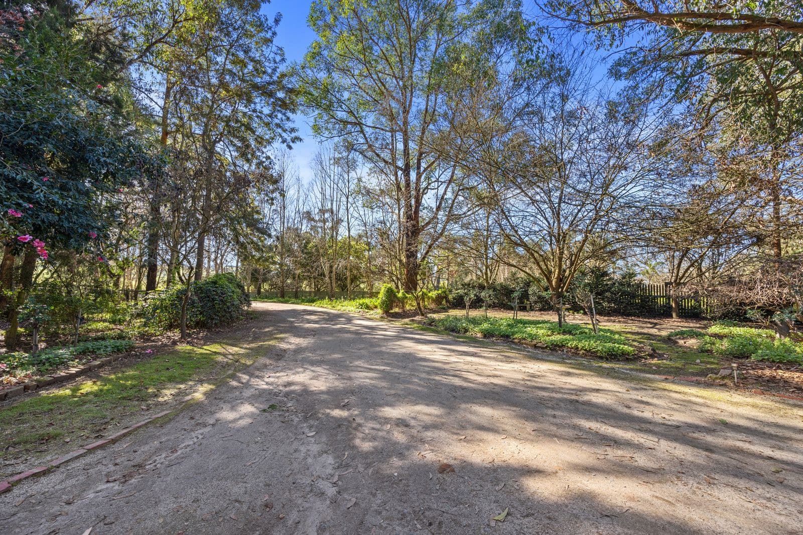 235 Racecourse Road, Leongatha VIC 3953, Leongatha - Thumbnail 3