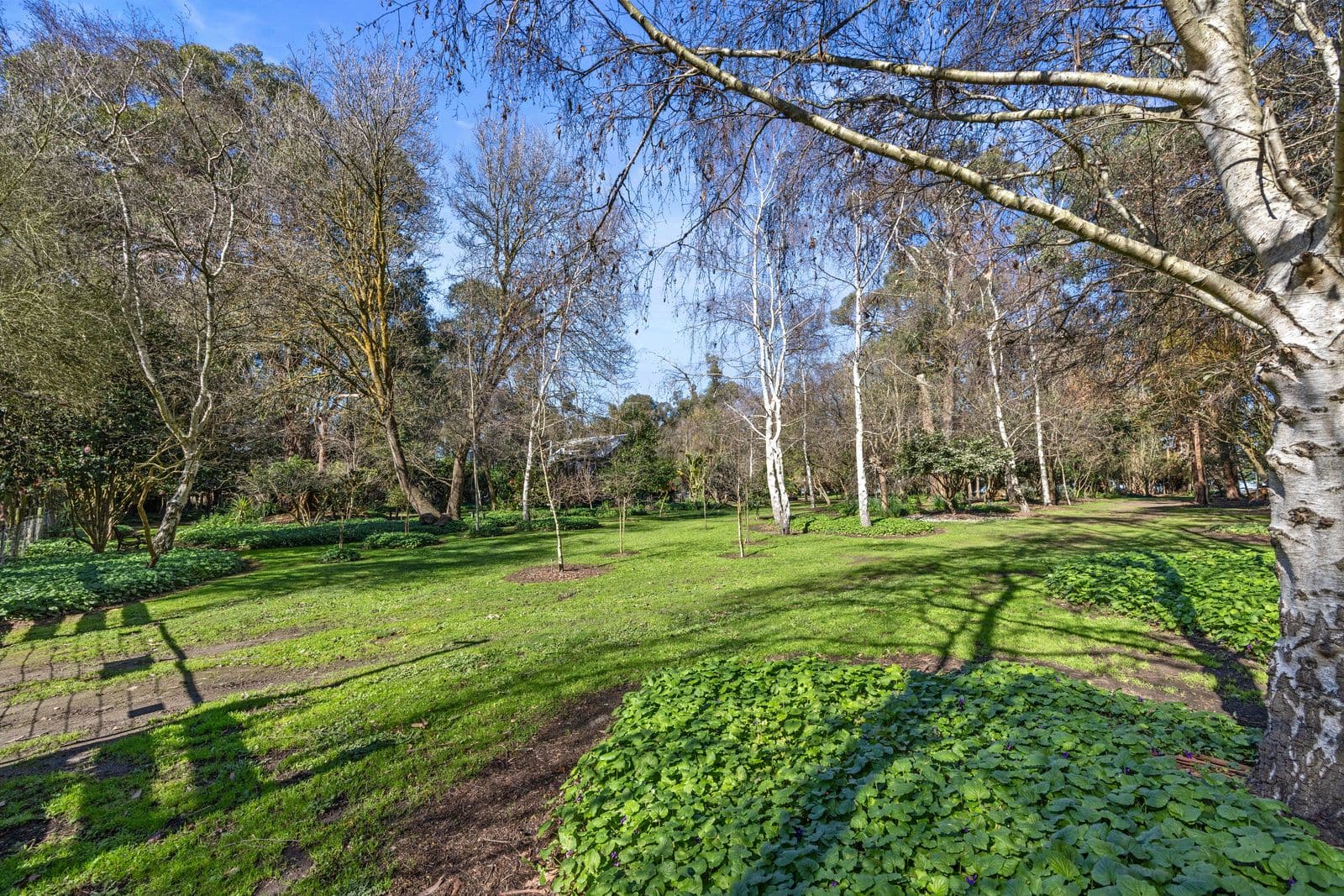 235 Racecourse Road, Leongatha VIC 3953, Leongatha - Thumbnail 6