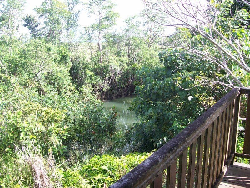 12 Kookaburra Close, INNISFAIL QLD 4860, Innisfail - Image 1