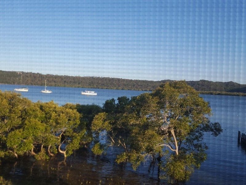 56 Canaipa Point Drive, Russell Island QLD 4184, Russell Island - Thumbnail 2