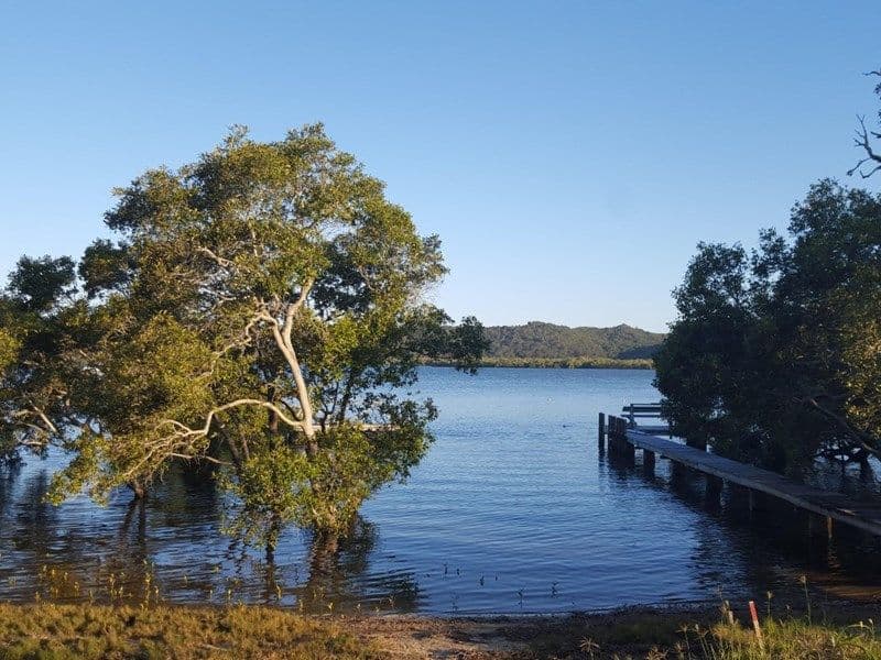 56 Canaipa Point Drive, Russell Island QLD 4184, Russell Island - Thumbnail 3