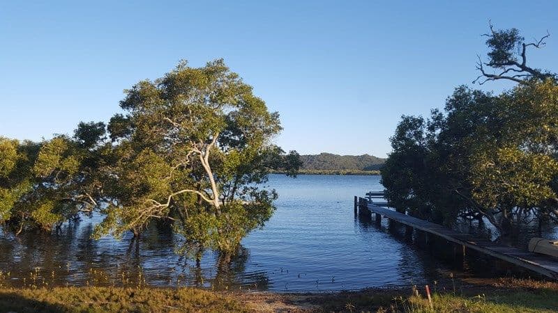 56 Canaipa Point Drive, Russell Island QLD 4184, Russell Island - Thumbnail 5