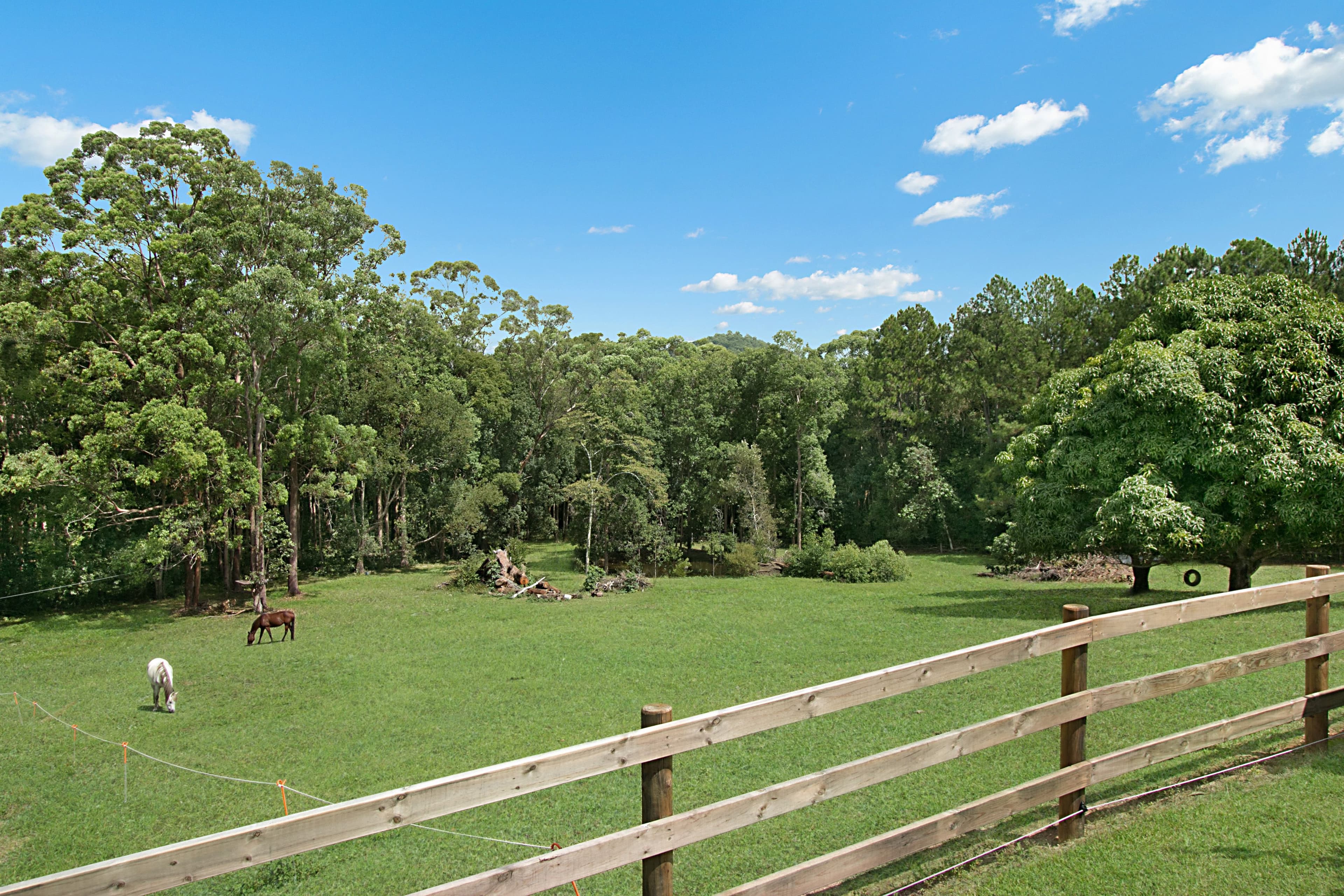32 Baromi Road, Kynnumboon, Murwillumbah NSW 2484, Murwillumbah - Thumbnail 7
