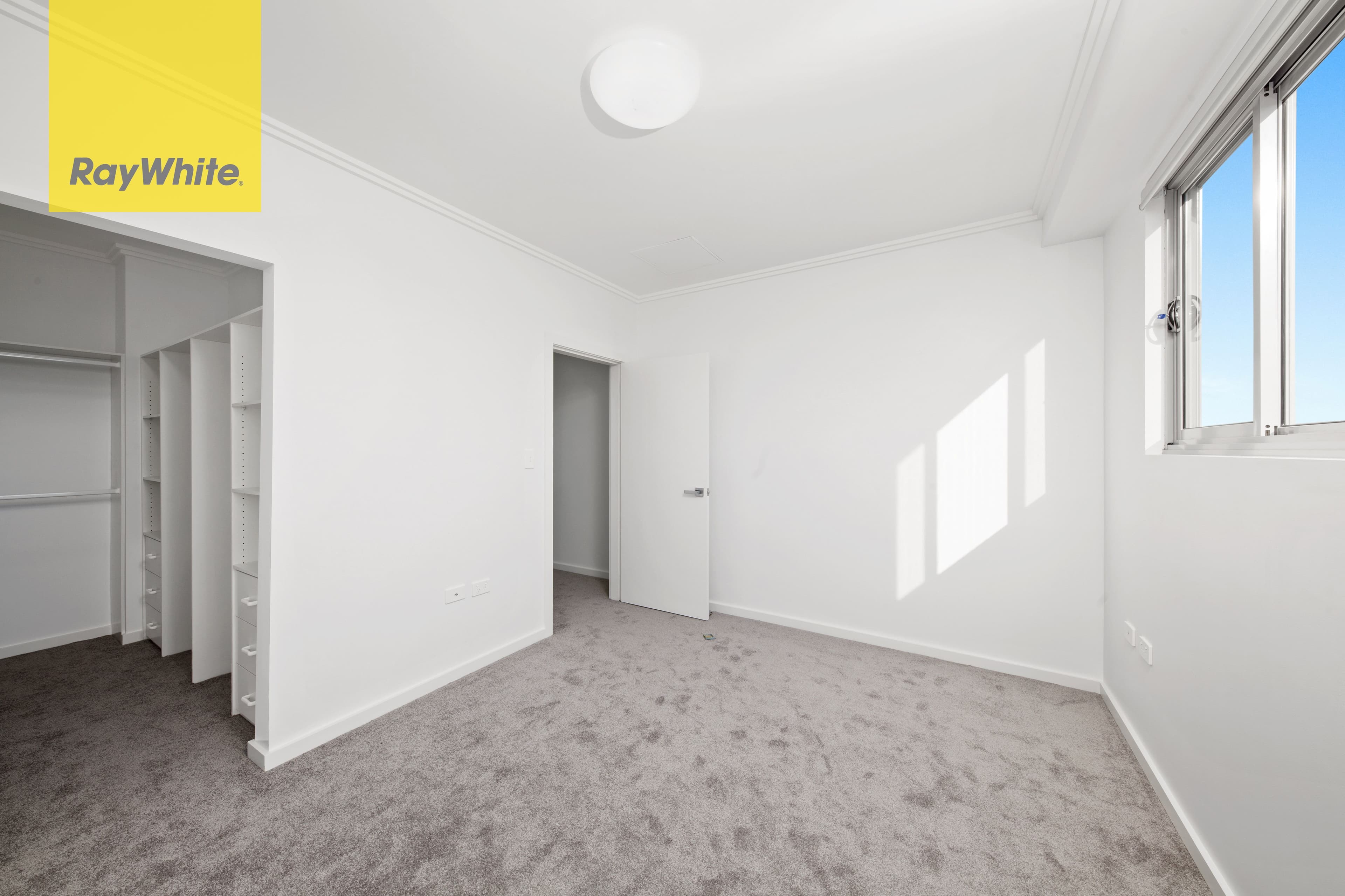37 Cornelia Street, Wiley Park NSW 2195, Wiley Park - Thumbnail 2