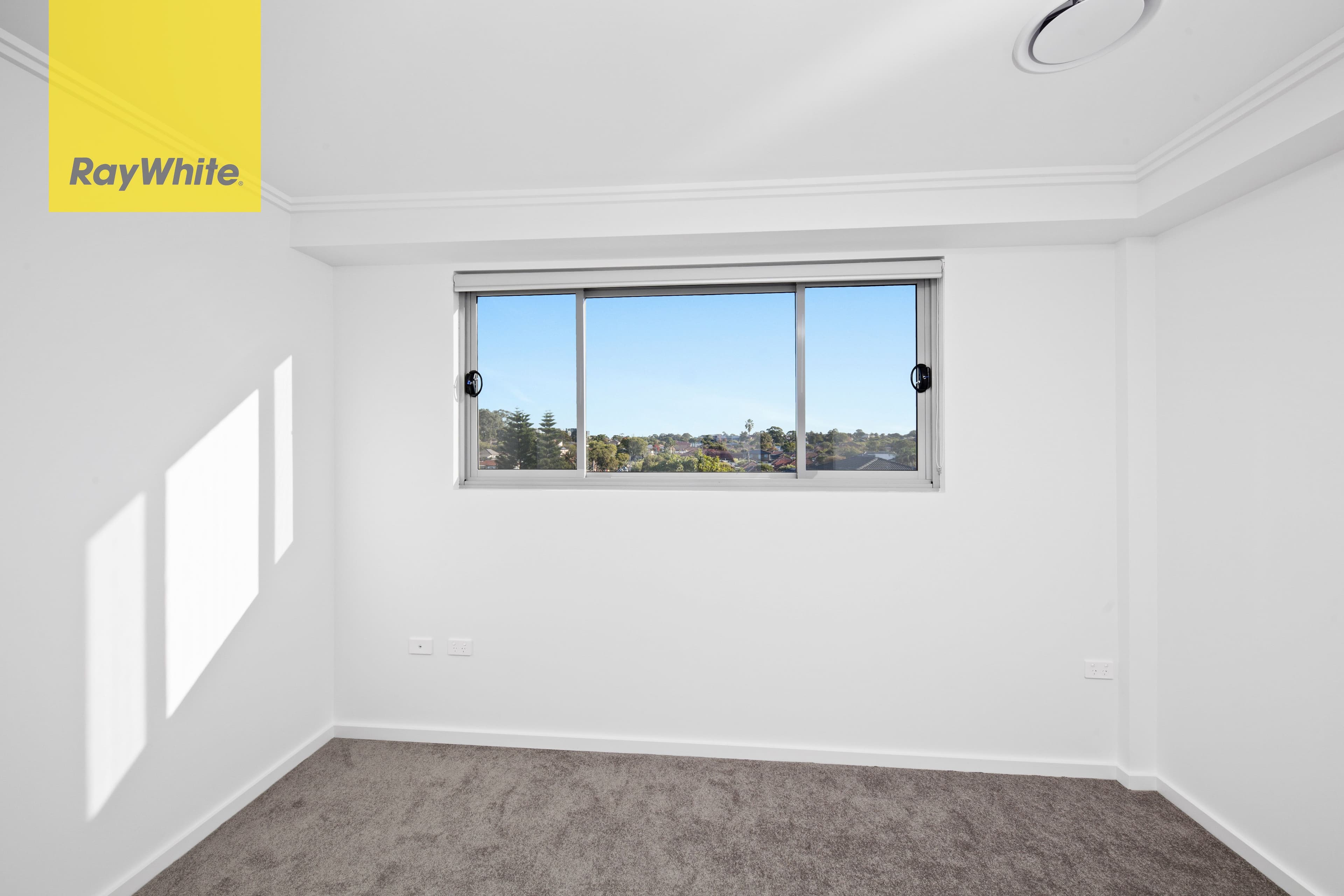 37 Cornelia Street, Wiley Park NSW 2195, Wiley Park - Thumbnail 3