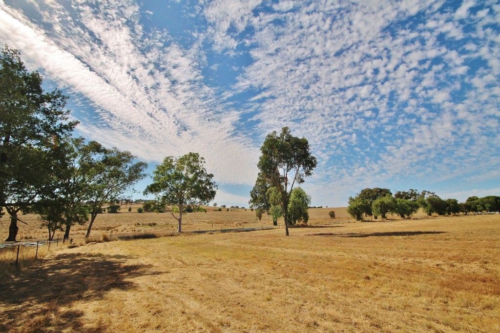 11 Murray's Lane, Grenfell NSW 2810, Grenfell - Thumbnail 2