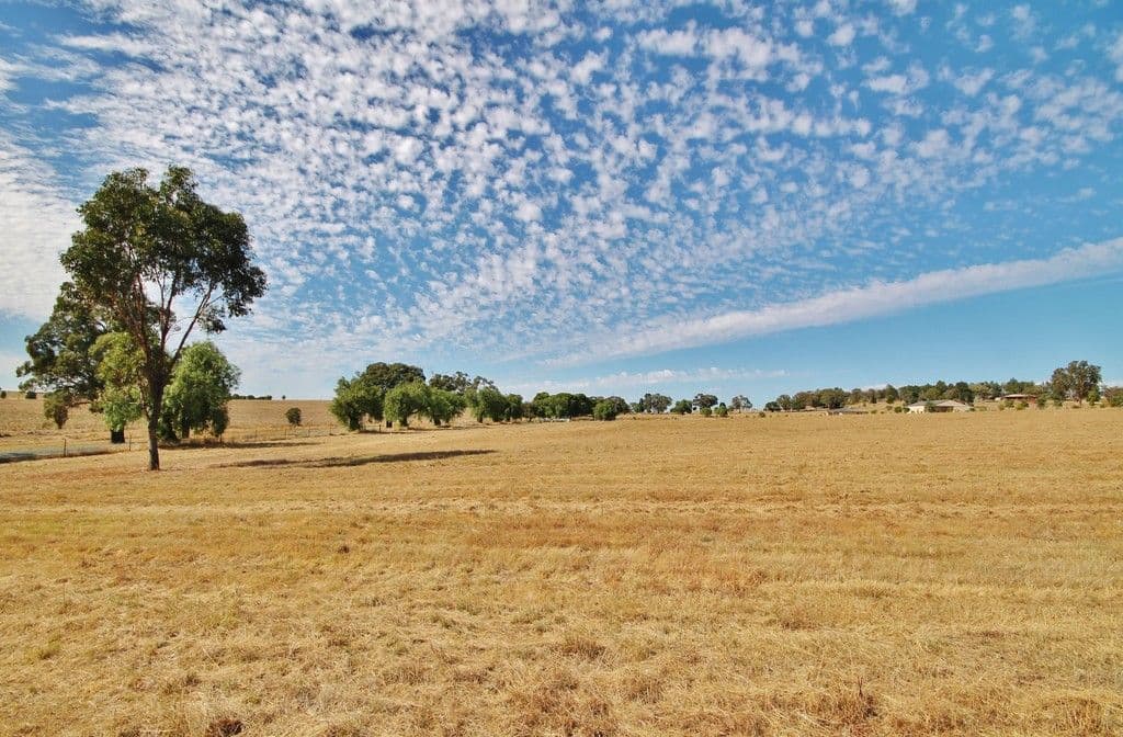 11 Murray's Lane, Grenfell NSW 2810, Grenfell - Thumbnail 3