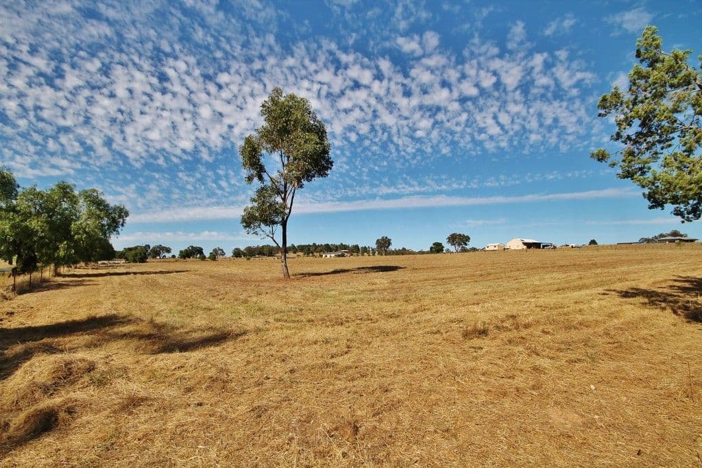 11 Murray's Lane, Grenfell NSW 2810, Grenfell - Thumbnail 4