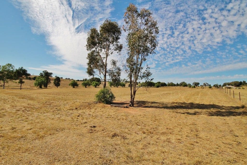 11 Murray's Lane, Grenfell NSW 2810, Grenfell - Thumbnail 5