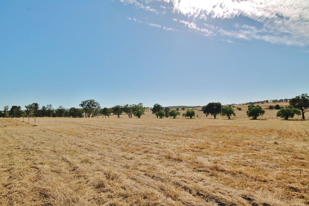 11 Murray's Lane, Grenfell NSW 2810, Grenfell - Thumbnail 6