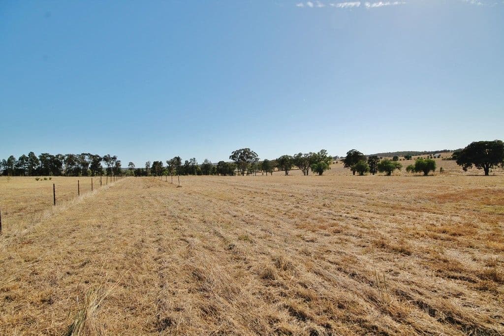 11 Murray's Lane, Grenfell NSW 2810, Grenfell - Thumbnail 7