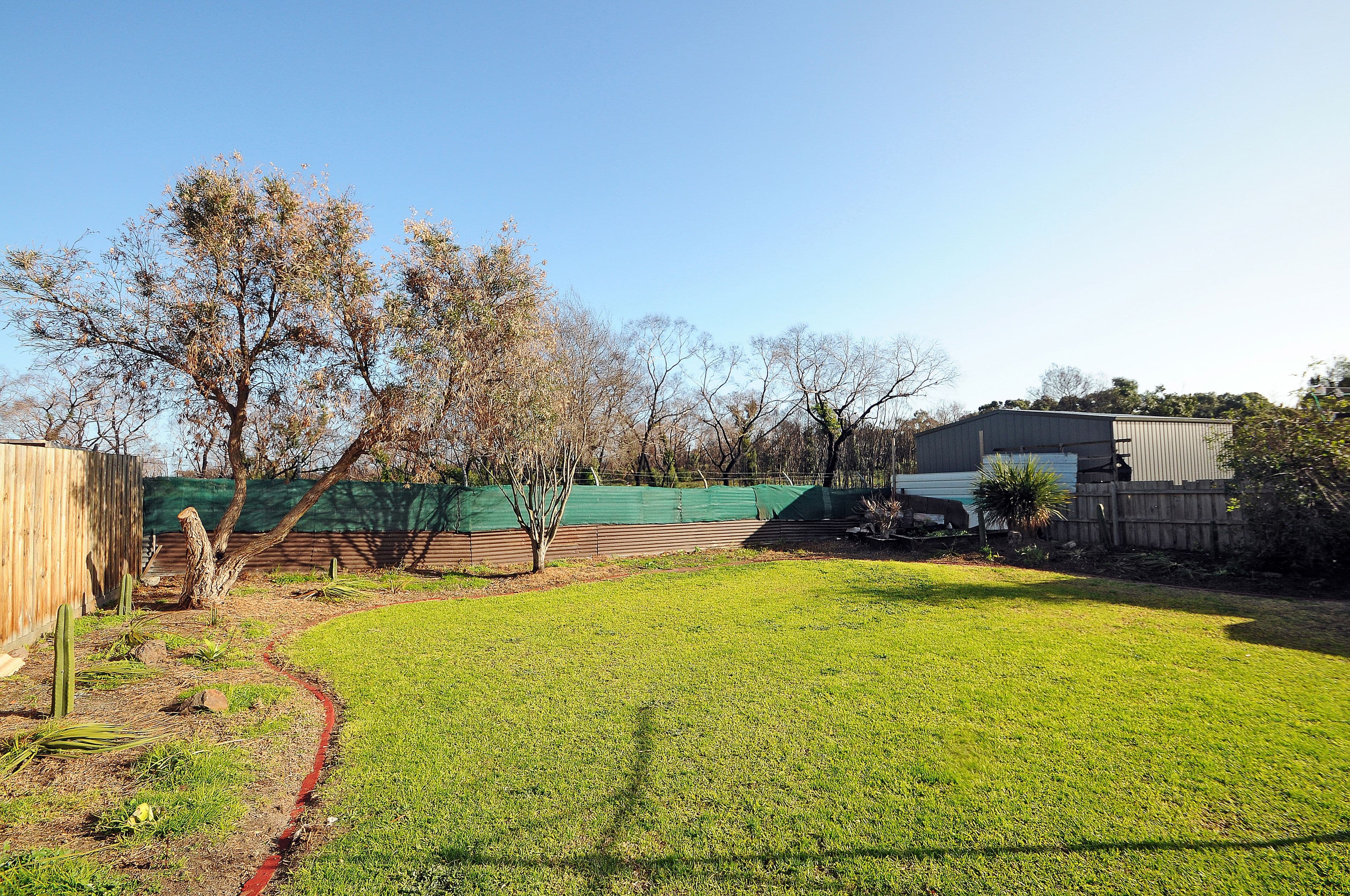 41 Darnley Drive, Skye VIC 3977, Skye - Thumbnail 4