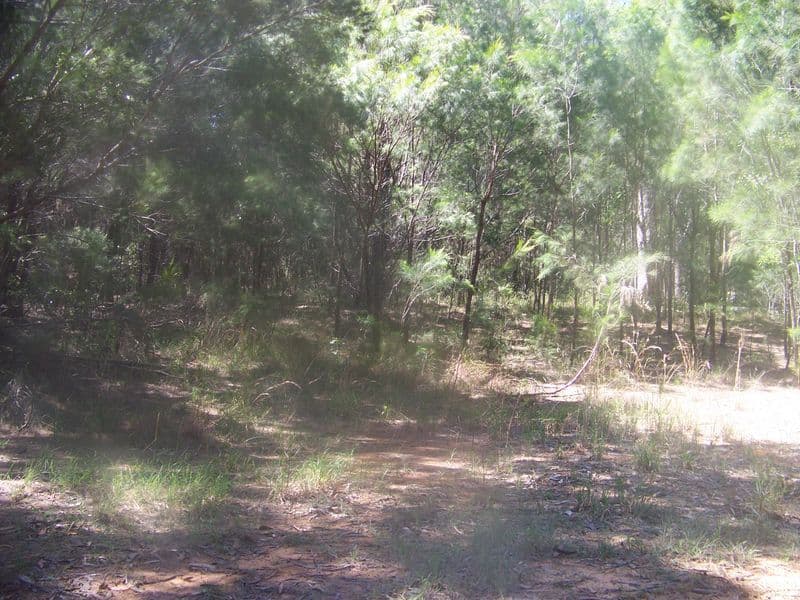 9 Jupiter Street, RUSSELL ISLAND QLD 4184, Russell Island - Image 1