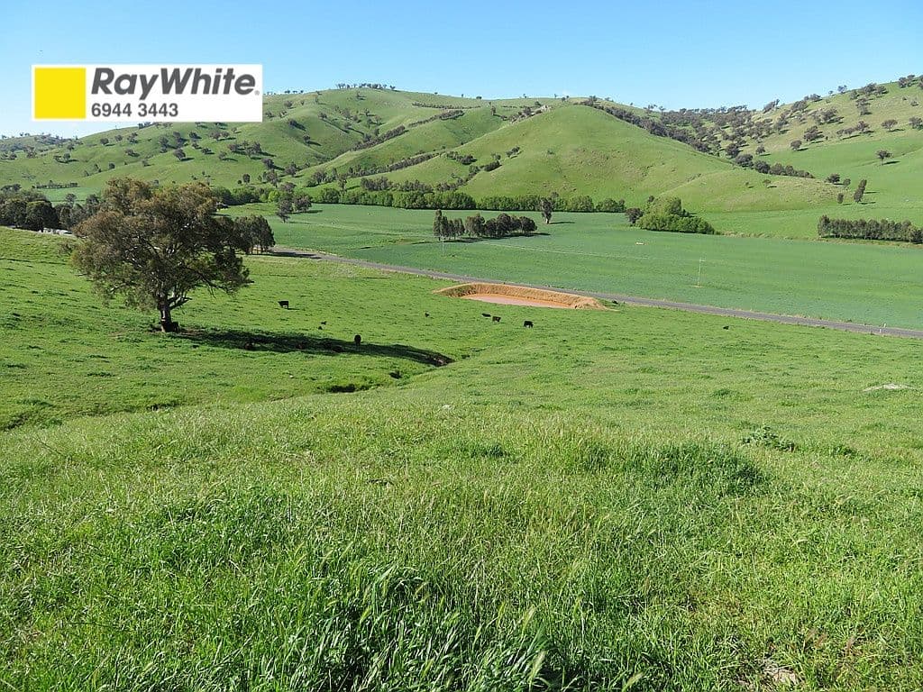 129 Burra Road, Gundagai NSW 2722, Gundagai - Image 1