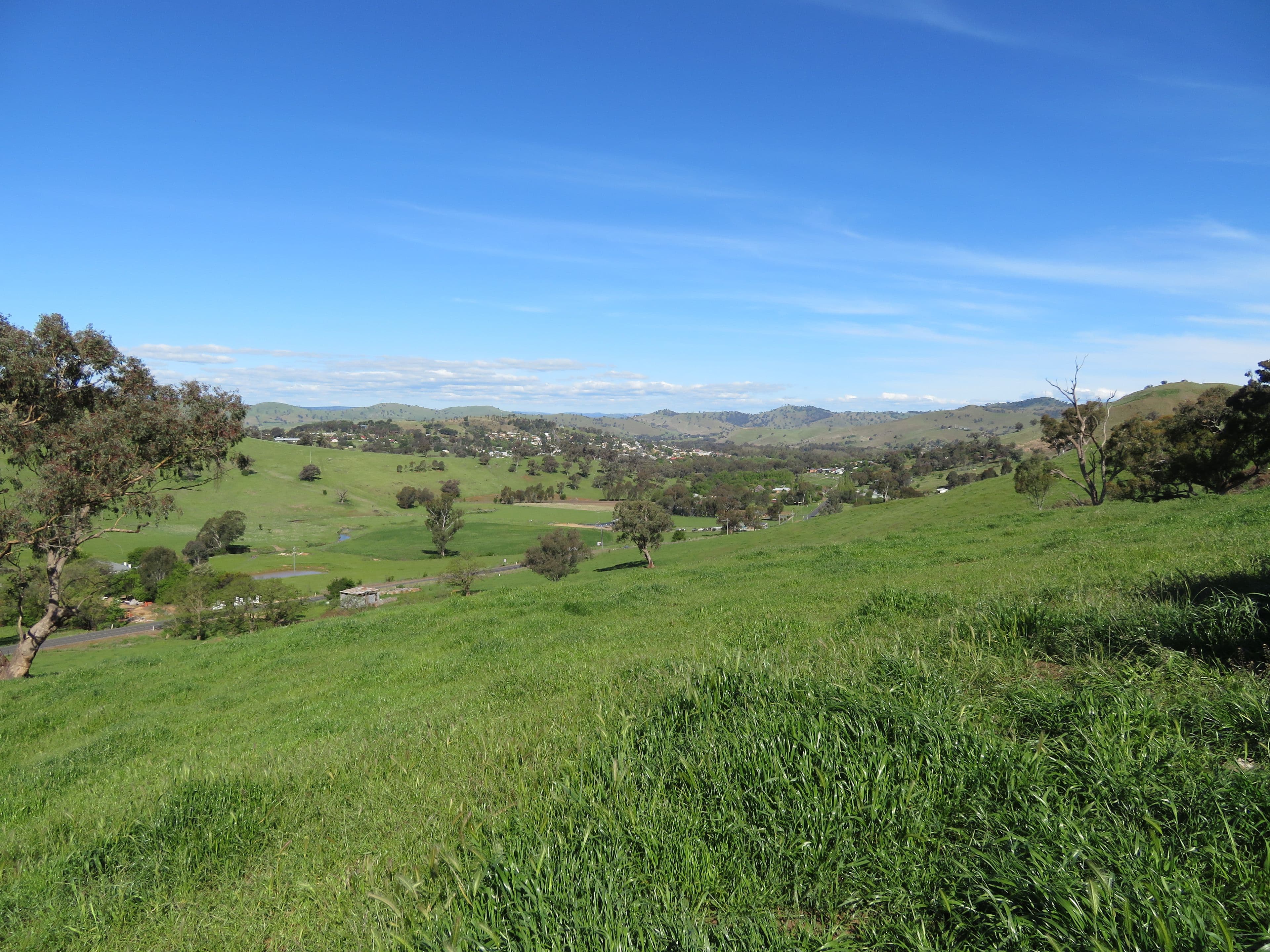 129 Burra Road, Gundagai NSW 2722, Gundagai - Thumbnail 2