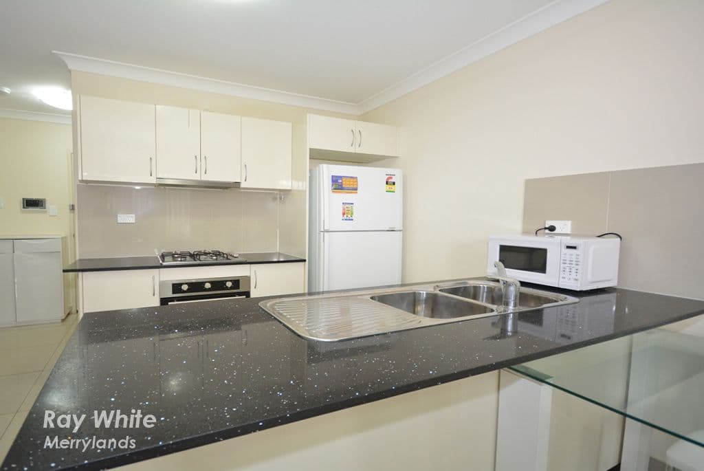 215 Woodville Road, Merrylands NSW 2160, Merrylands - Thumbnail 3
