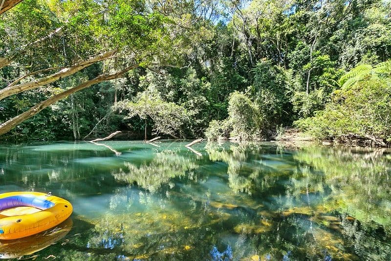 232 Ganyan Drive, Speewah QLD 4881, Speewah - Thumbnail 2