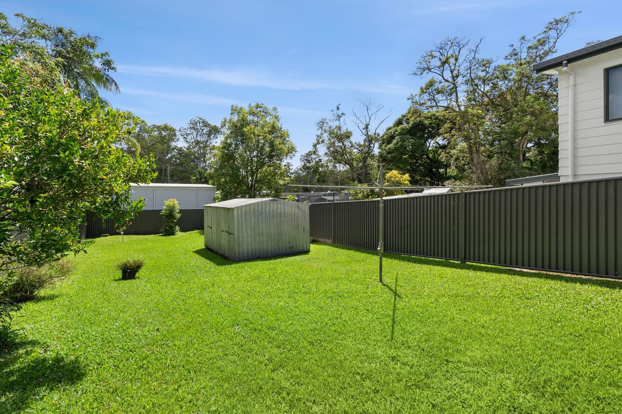 27 Paget Street, Mooloolah Valley QLD 4553, Mooloolah Valley - Thumbnail 4