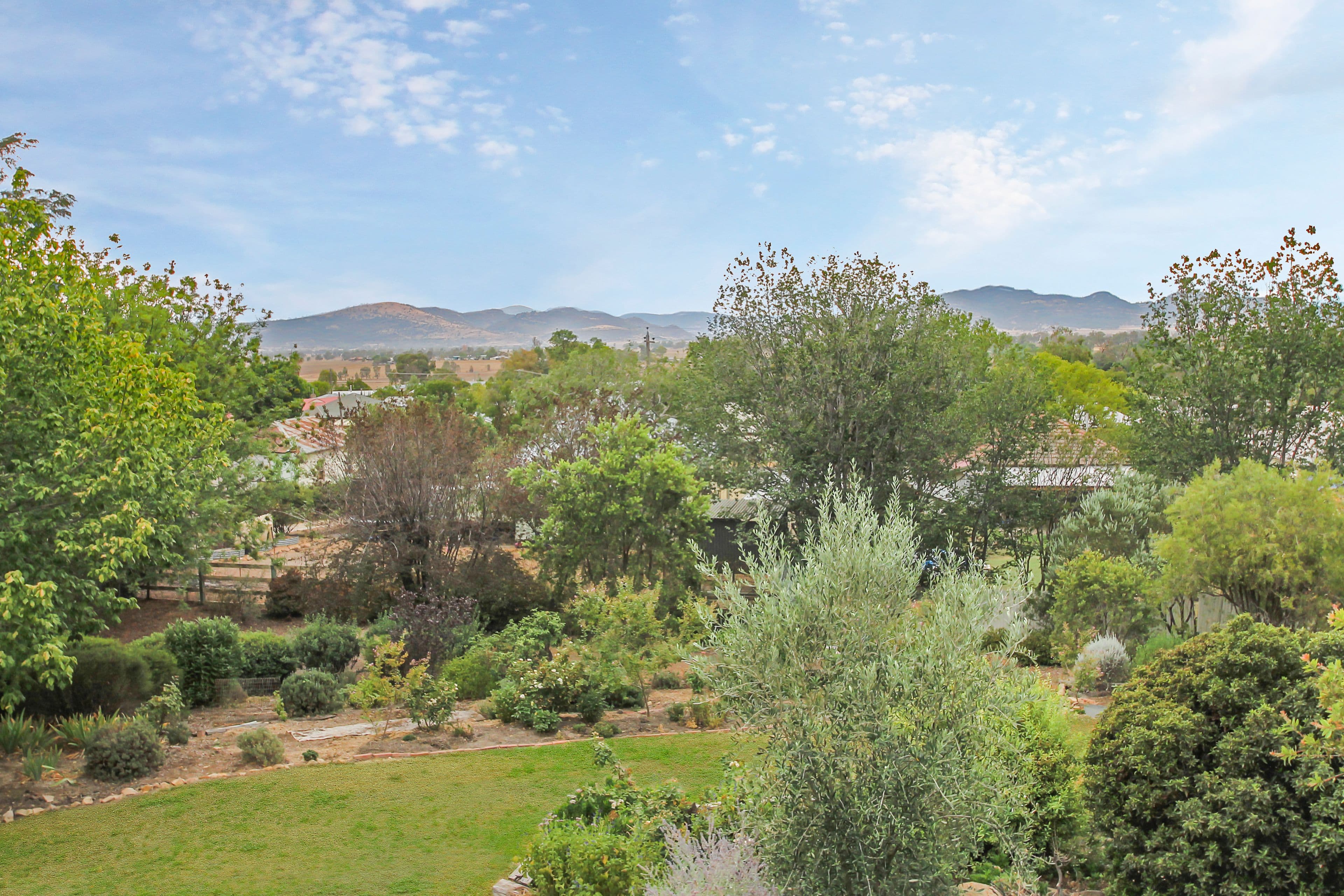 31 Nowland Avenue, Quirindi - Thumbnail 3