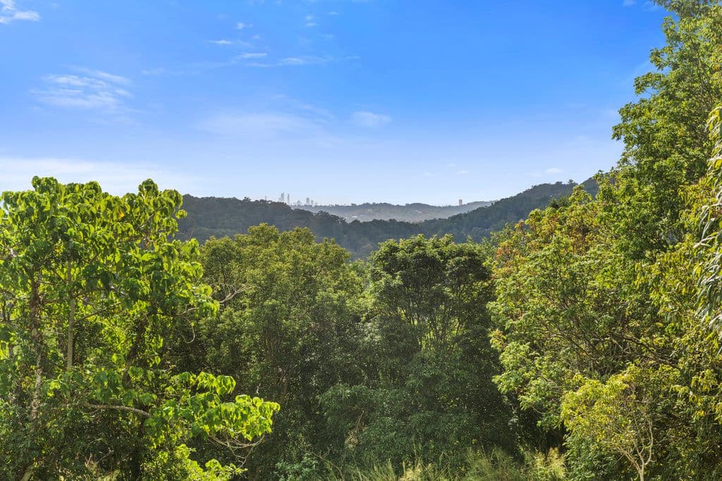 20 Warri Way, Currumbin Valley QLD 4223, Currumbin Valley - Thumbnail 2