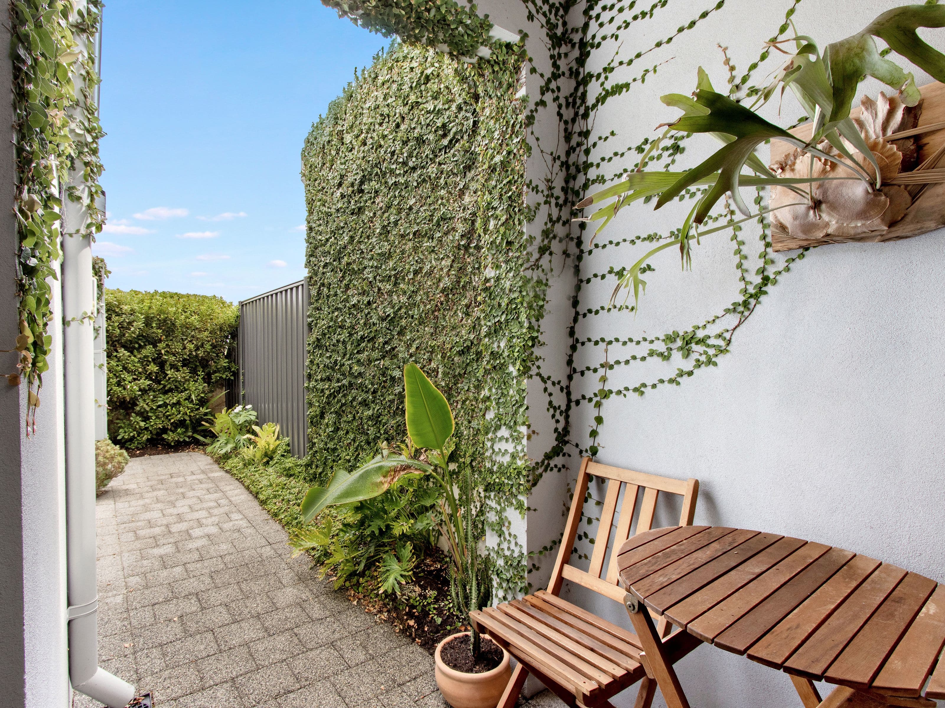61 Norseman Approach, Baldivis WA 6171, Baldivis - Thumbnail 4