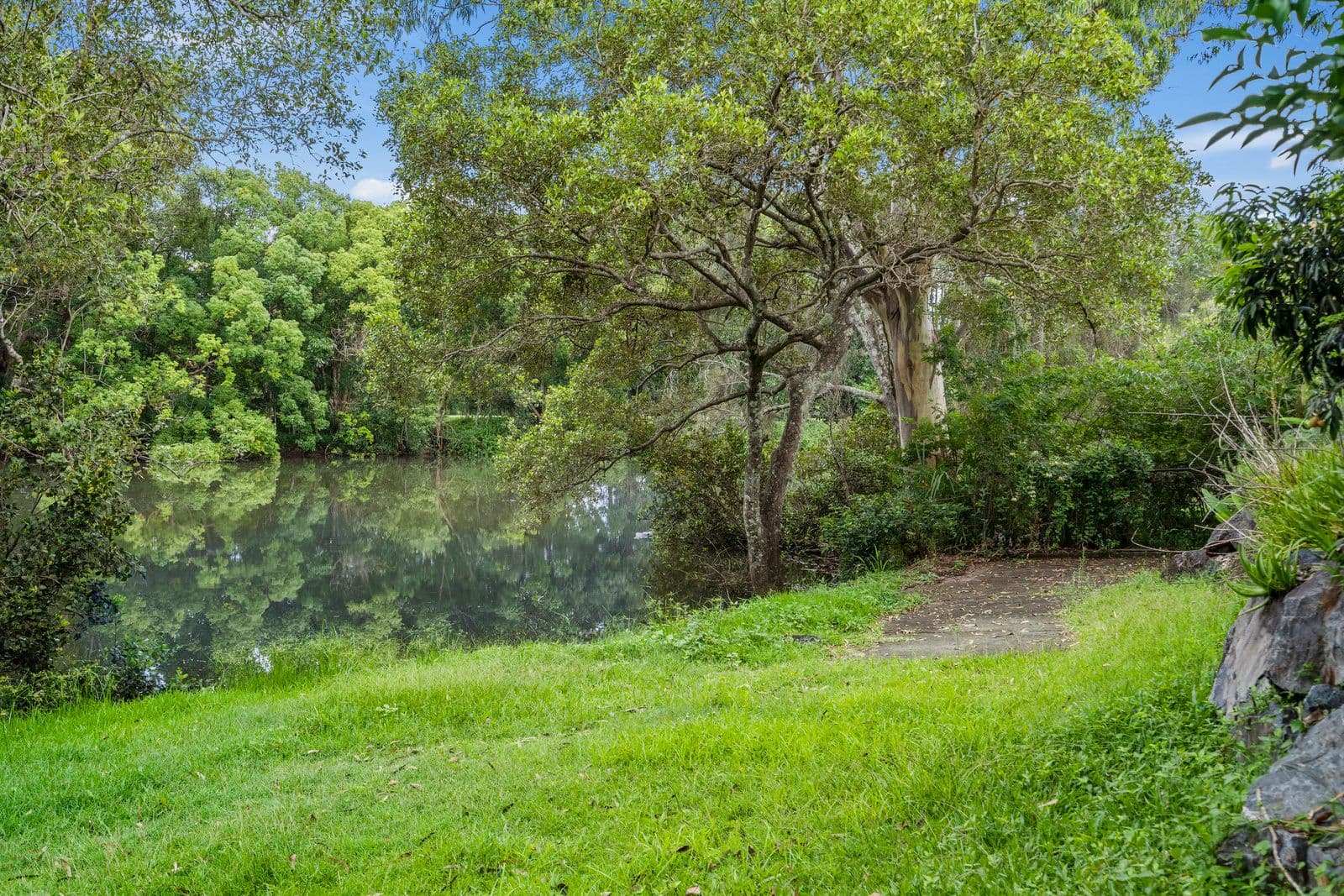 19 Cosmos Court, Elanora QLD 4221, Elanora - Thumbnail 4