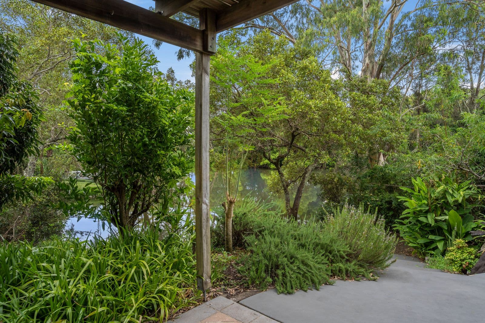 19 Cosmos Court, Elanora QLD 4221, Elanora - Thumbnail 5