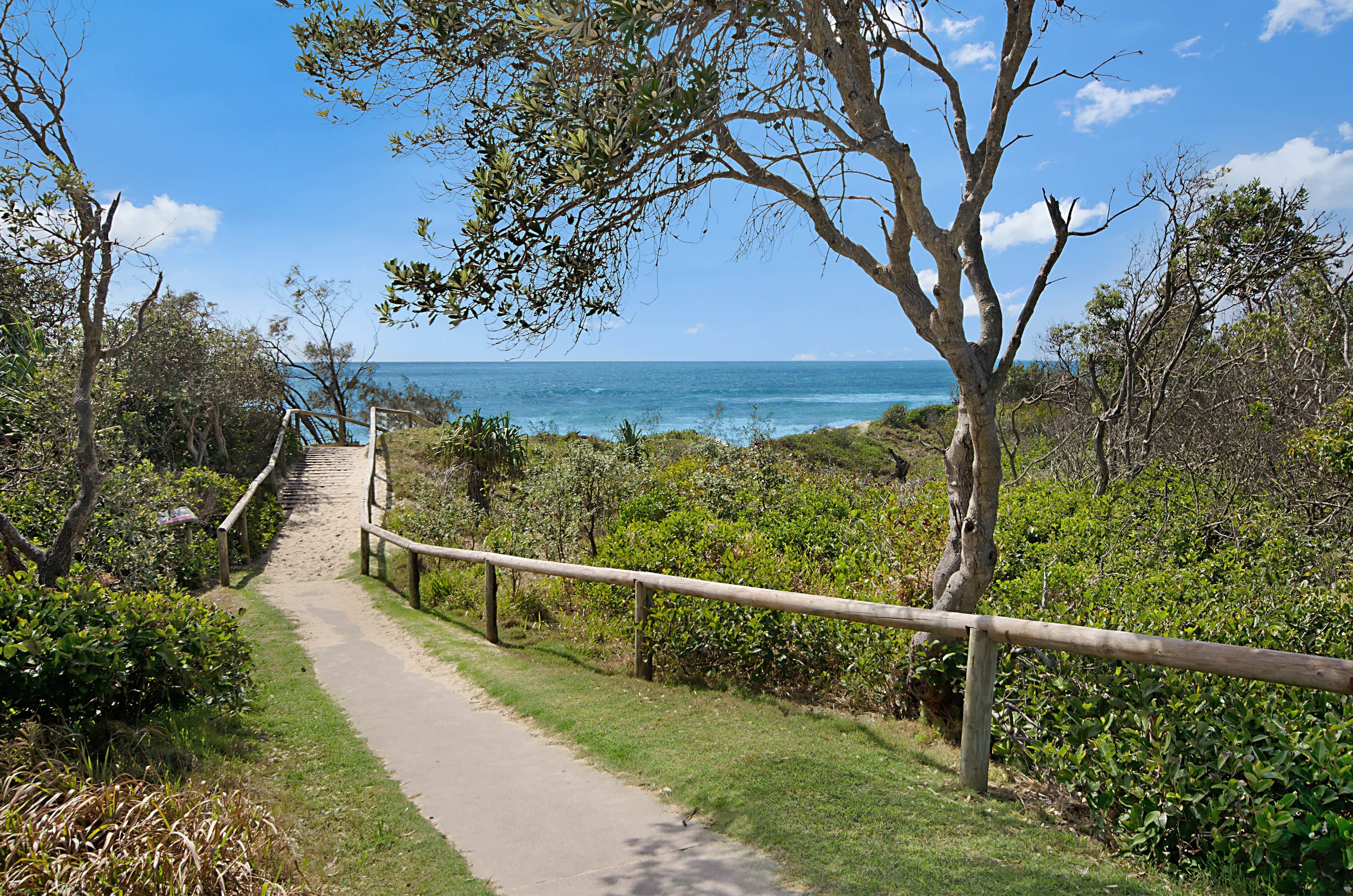 25 Shearwater Street, Peregian Beach QLD 4573, Peregian Beach - Thumbnail 3
