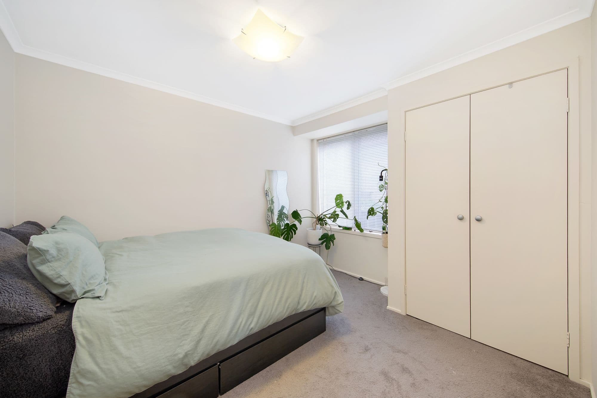 25 Wyong Road, Berkeley Vale NSW 2261, Berkeley Vale - Thumbnail 8