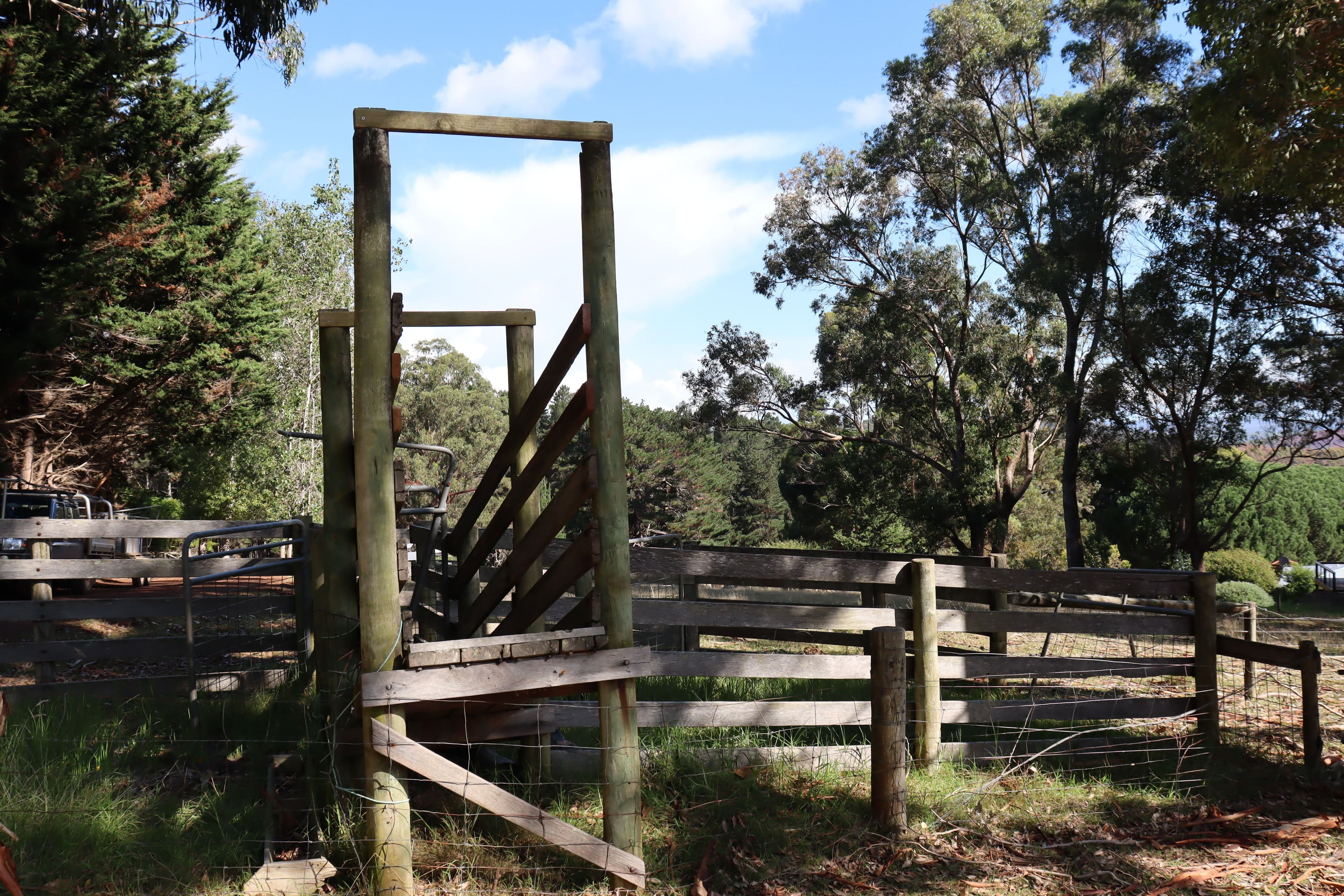 60 Panorama Road, Denmark WA 6333, Denmark - Thumbnail 7