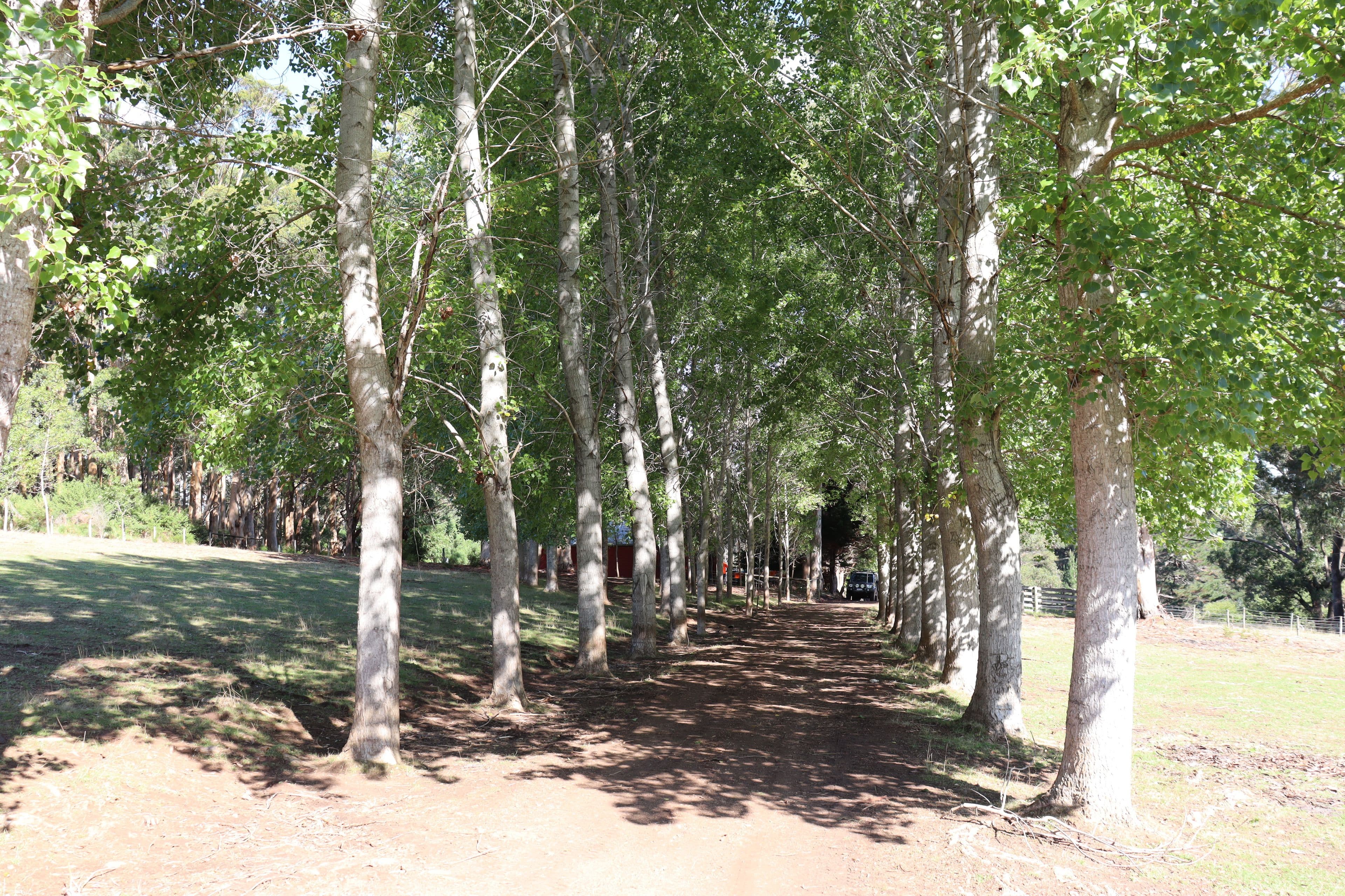 60 Panorama Road, Denmark WA 6333, Denmark - Thumbnail 8