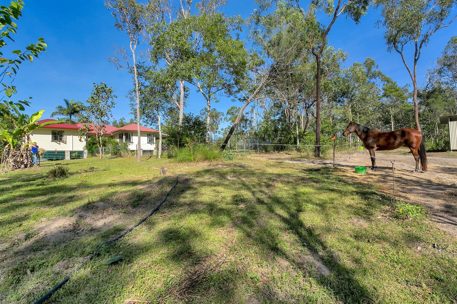 79 Scenic Drive, Speewah QLD 4881, Speewah - Thumbnail 5