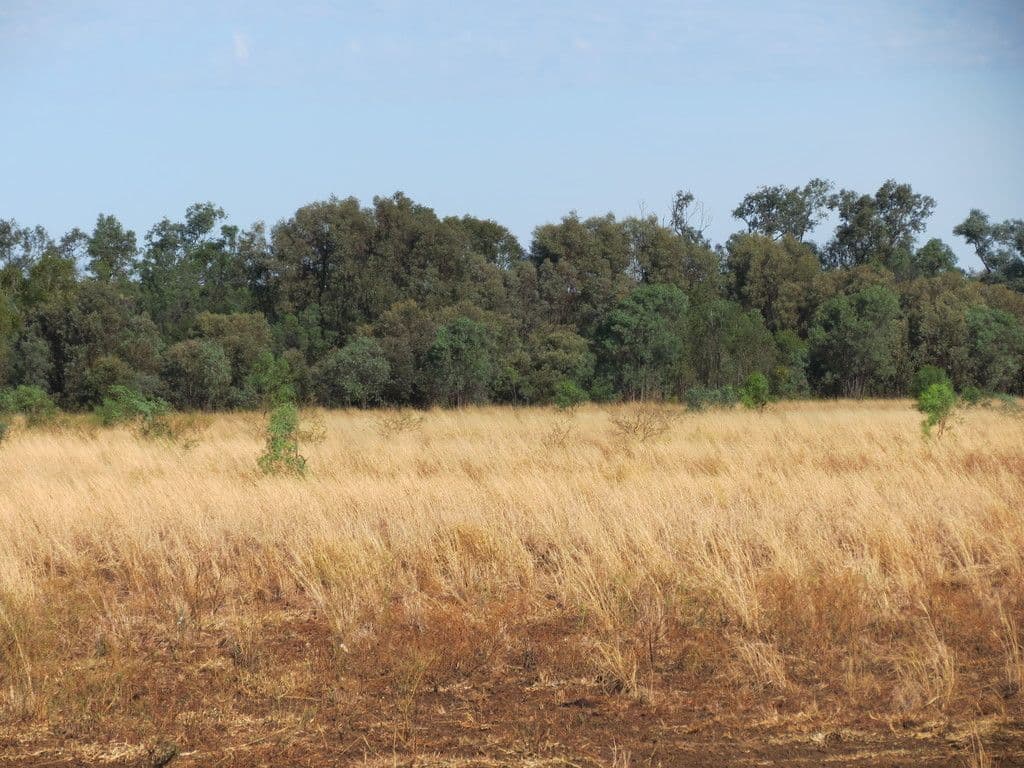 Lot 193 Capricorn Highway, Emerald QLD 4720, Emerald - Thumbnail 4